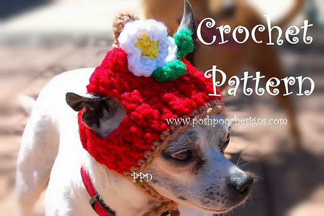 Apple Dog Hat