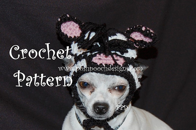 Zebra Dog Hat