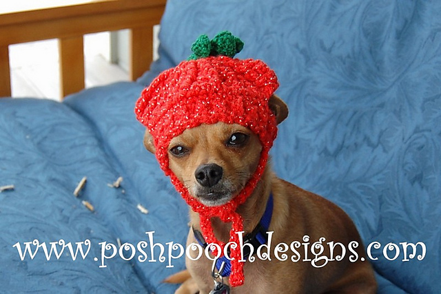 Pumpkin Hat for Dogs