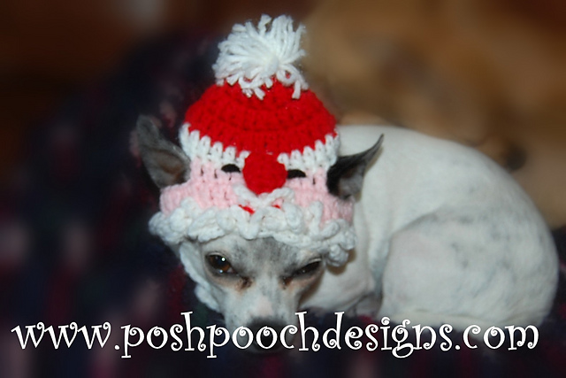 Santa Claus Dog Hat