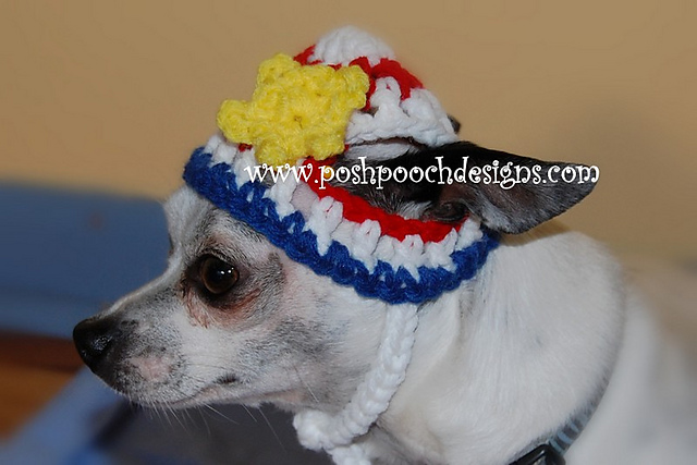 Patriotic Dog Hat