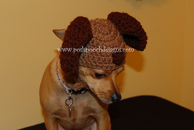 Hound Dog hat for Dogs or Cats