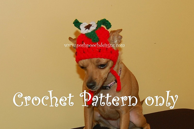 Strawberry Dog Beanie
