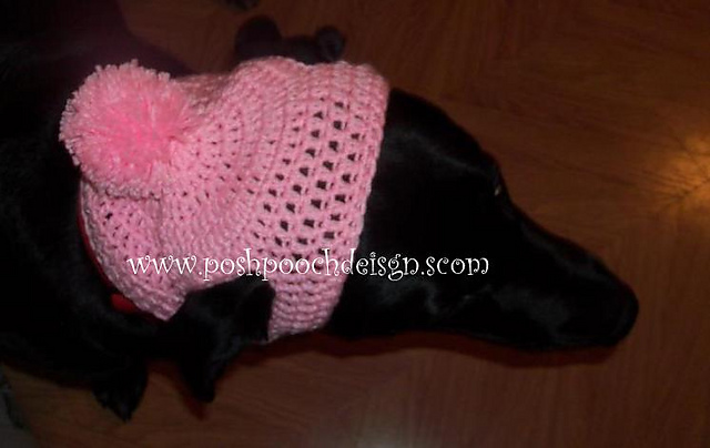 Large Dog Beanie