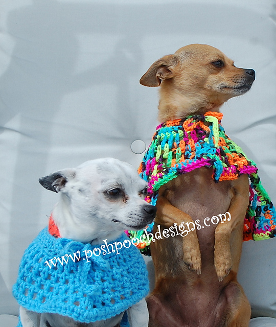 Dog Poncho - Summertime Dog Poncho