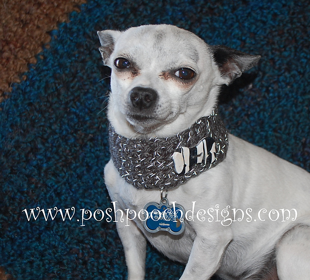 Dog Collar -Tunisian Crochet