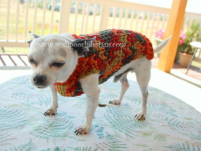 Dog Sweater - Variegated V- Stitch