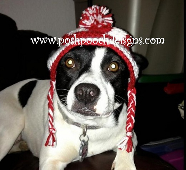 Medium Dog Striped Earflap hat