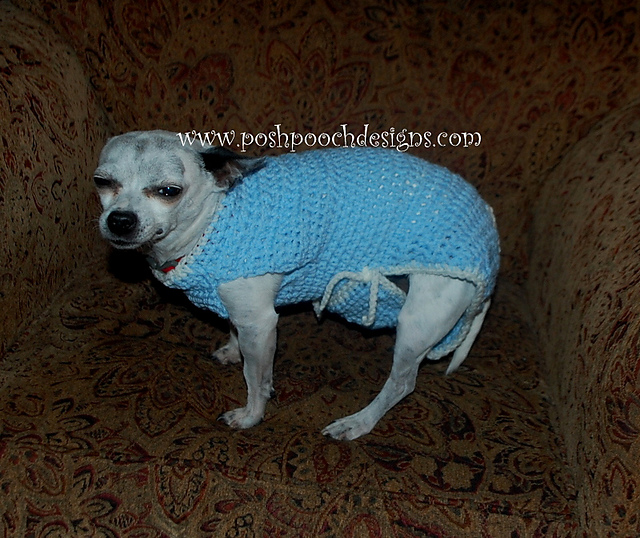 Small Dog Body Suit