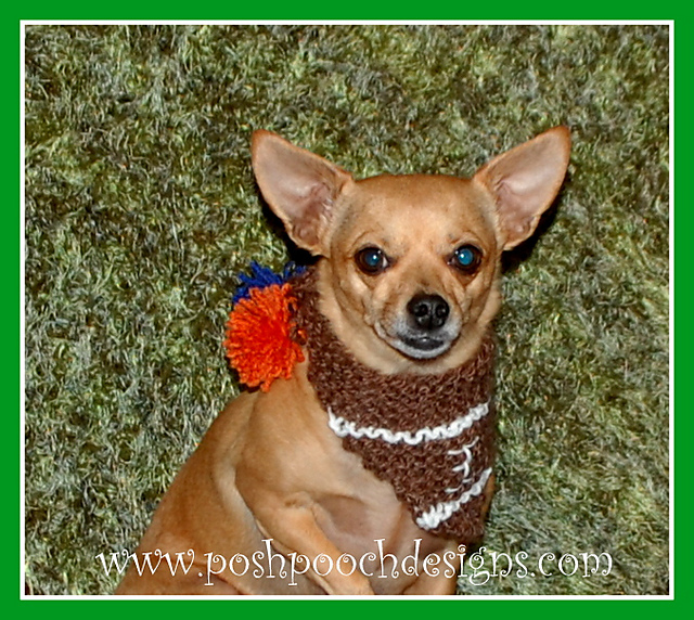 Football Dog Bandanna