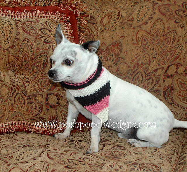 Striped Dog Bandanna