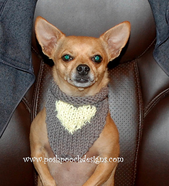 Dog Heart  Bandanna