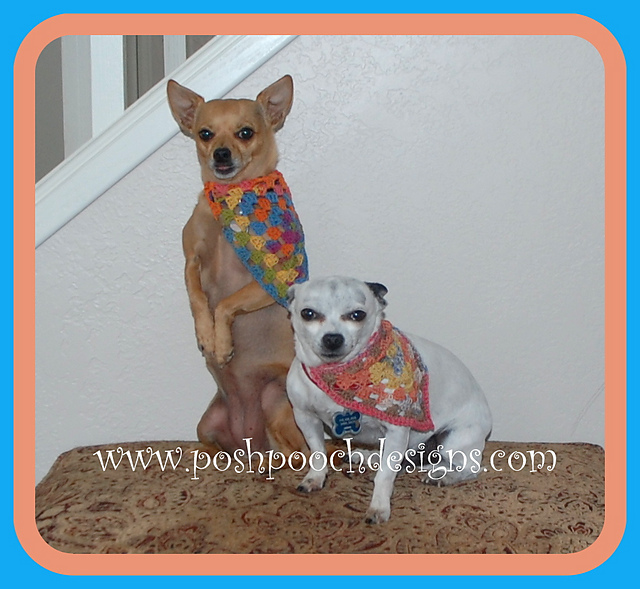 Pennant Dog Bandanna bandana