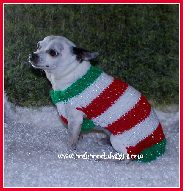 Candy Cane Dog Sweater