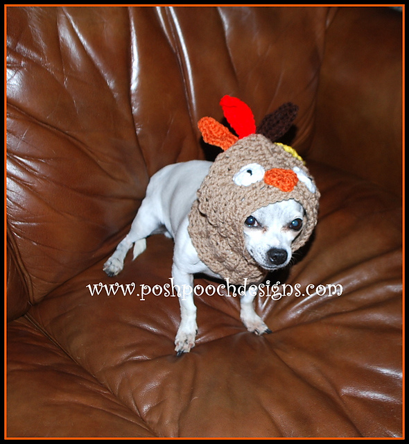 Turkey Dog Snood