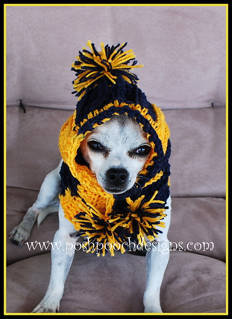 Sports Team Hooded Dog Snood