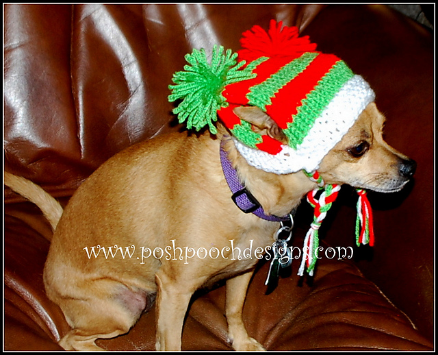 Super Easy Dog Hat