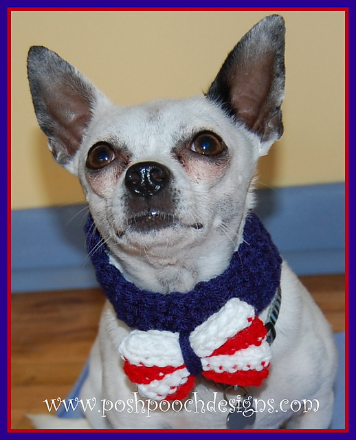 Patriotic Bowtie For Dogs, Pets and Humans