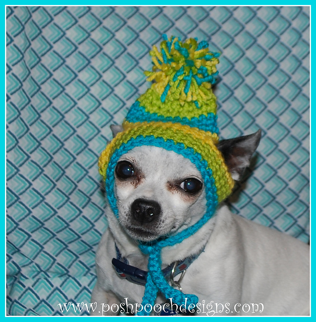 Dog Beanies with Pompom