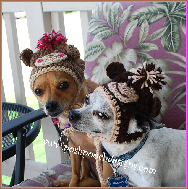 Monkey Dog Beanie Hat