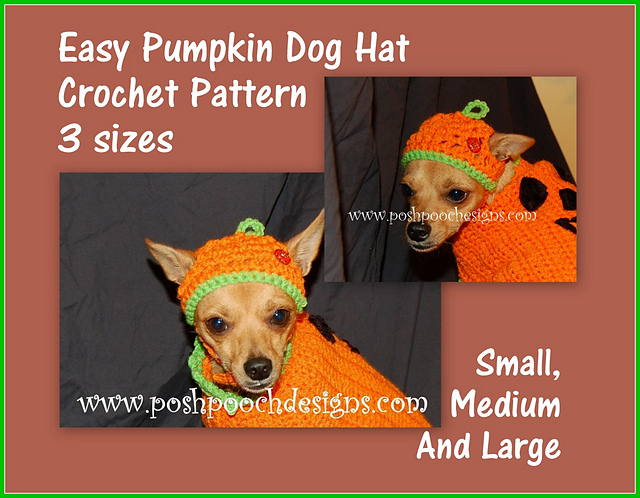 Easy Pumpkin Hat
