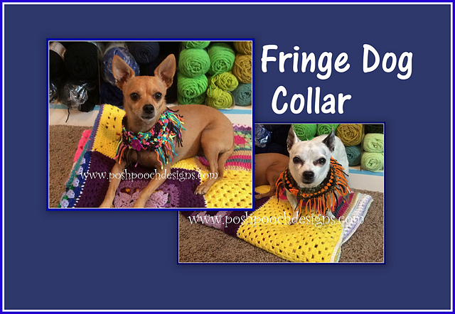Fringe Dog Collar