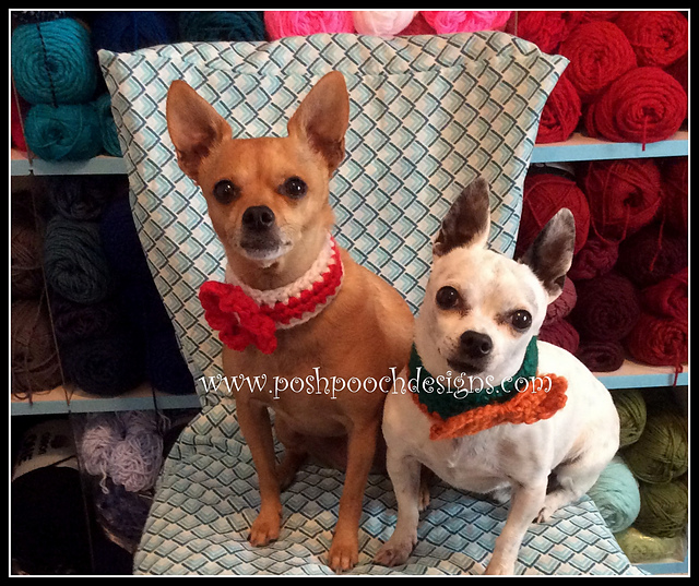 Chunky Dog Collars - Flower and Bowtie