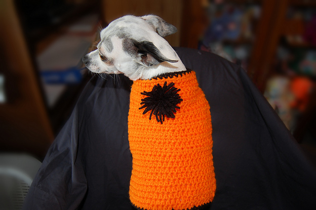 Basic Dog Sweater Pattern