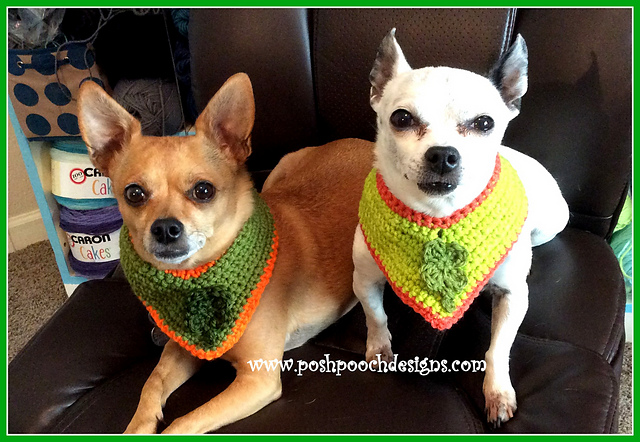 Shamrock Dog Collar