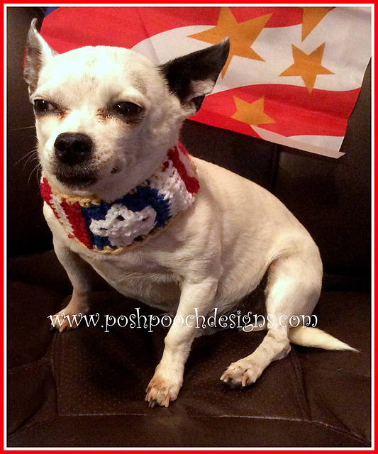 Patriotic Dog Collar