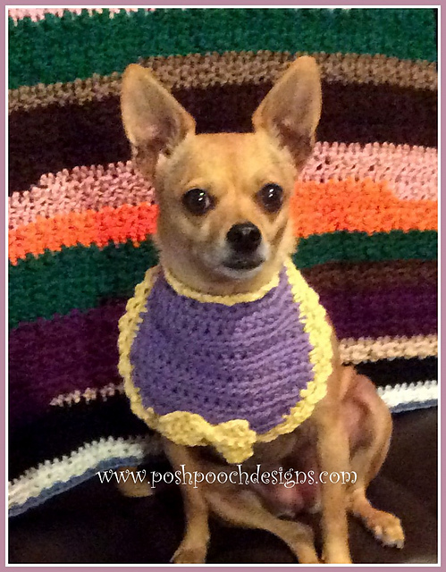 Lacy Trim Dog Bib