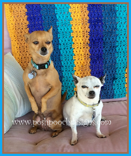 Warm Shells Throw