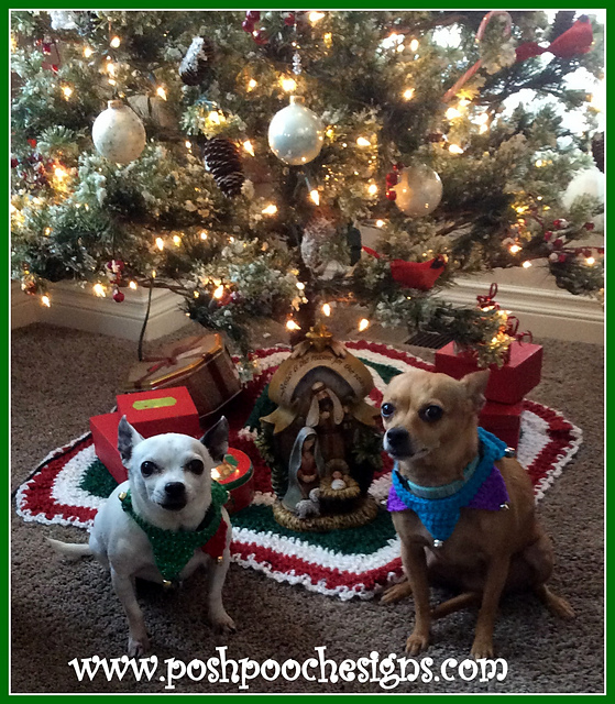Christmas Dog Collar - Elf Collar
