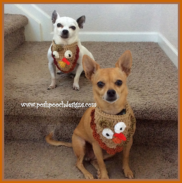 Turkey Dog Bandanna