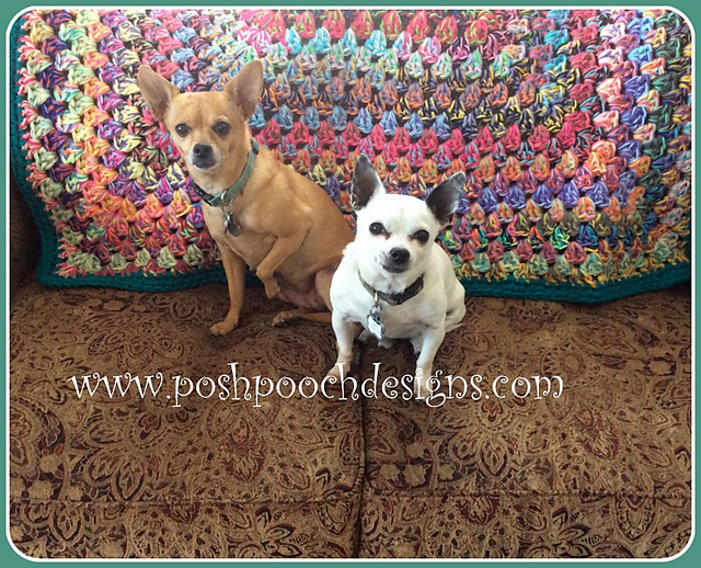 Scrapilicious  Granny Blanket