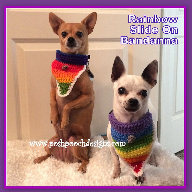 Rainbow Bandanna