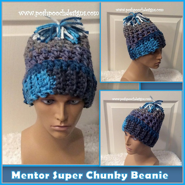 Mentor Chunky Pompom Hat