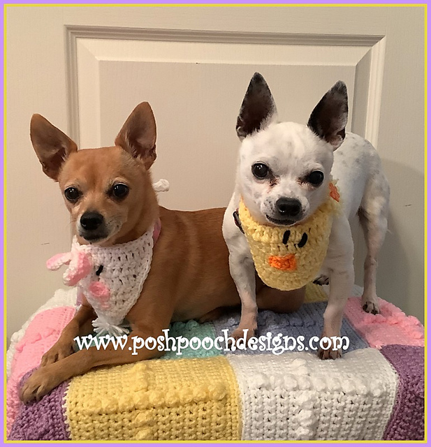 Bunny And Chick Dog Bandanna