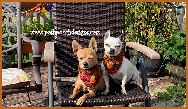 Autumn Dog Bandanna bandana