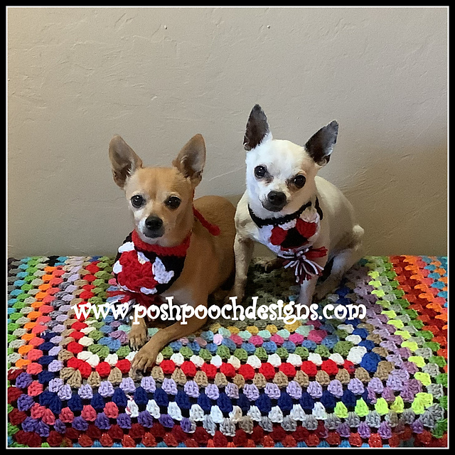 Sports Pennant Dog Bandanna
