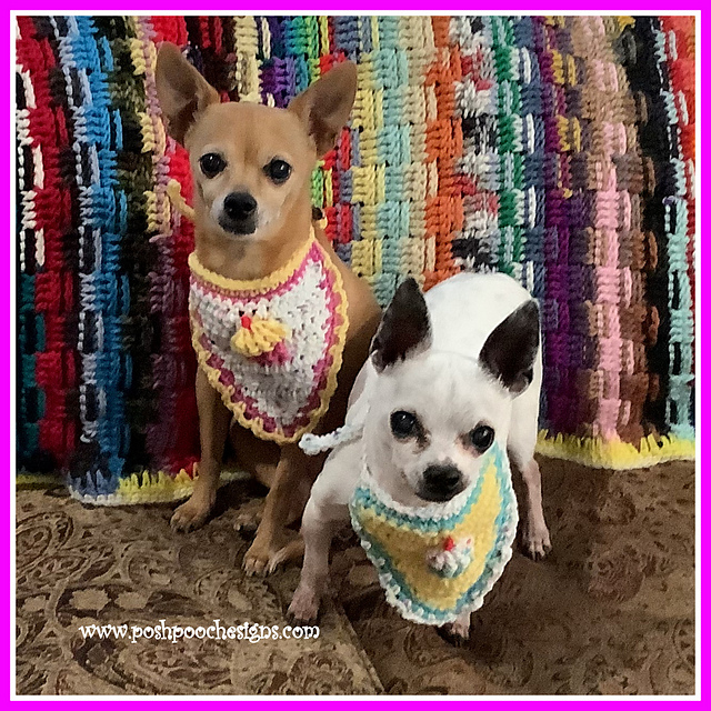 Cupcake Bandana
