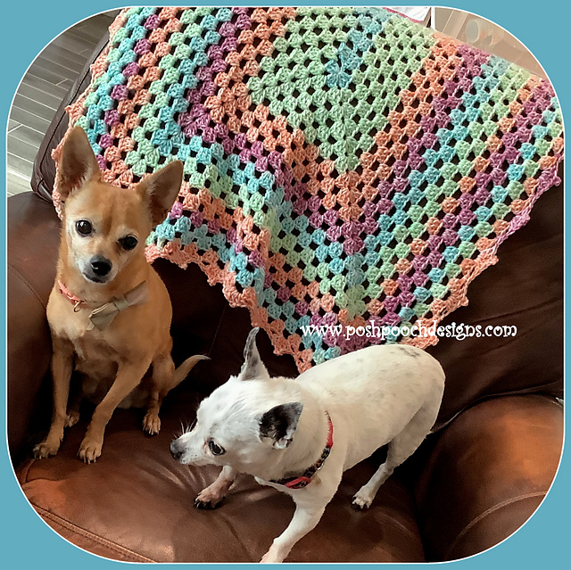 Picot Granny Spring Throw