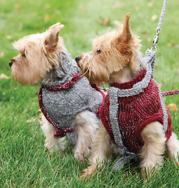 Reflective Dog Tank, Leash and Harness