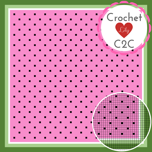 Watermelon Seeds C2C Blanket