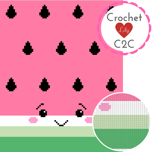 Watermelon C2C Blanket