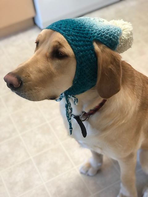 Dog Hat