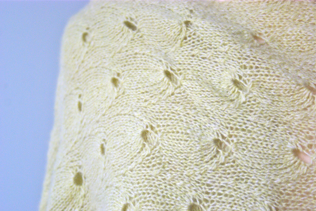 HoneyComb Wrap