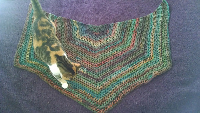 Marshall Shawl