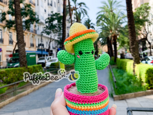 Mexican Cactus