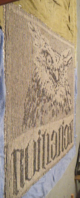 Wise Owl Illusion